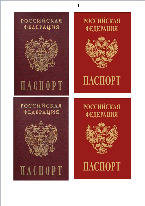 Паспорт 01 Изображение Паспорт 01